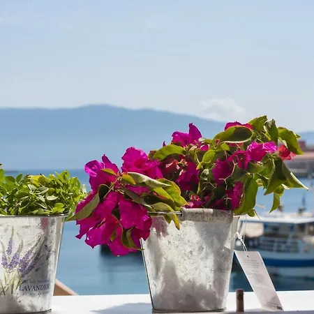 Apartment Spitakia